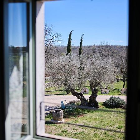 Vilanija Winery Cuj Bed & Breakfast מראה חיצוני תמונה