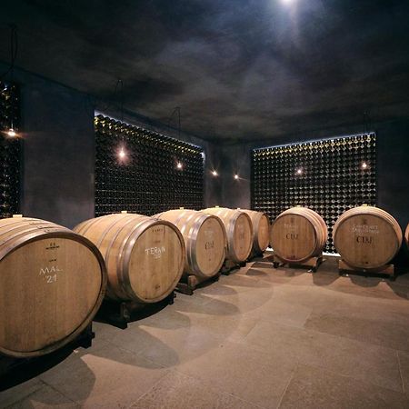 Vilanija Winery Cuj Bed & Breakfast מראה חיצוני תמונה